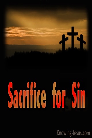 Sacrifice for Sin (devotional) (black) - Romans 8:3